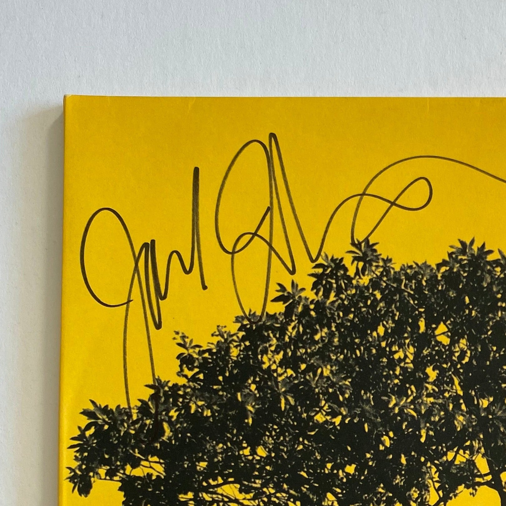 Jack Johnson Album