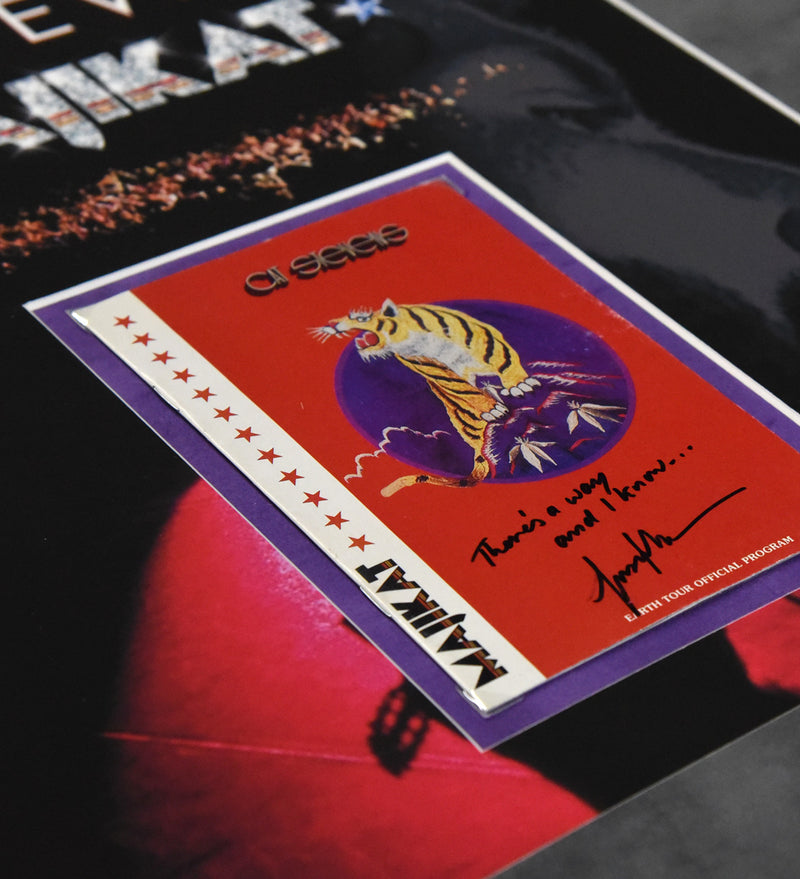 CAT STEVENS autographed "1976 Majikat Tour Program" 18x20 framed display